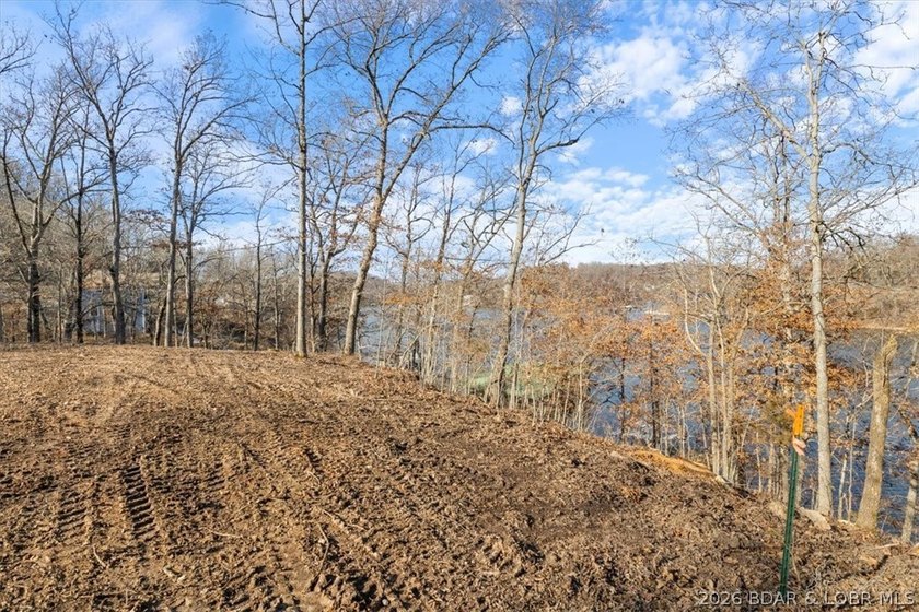 Prime 1.3-Acre Lakefront Canvas: Build Your Dream at Eagle Bay! - photo 25