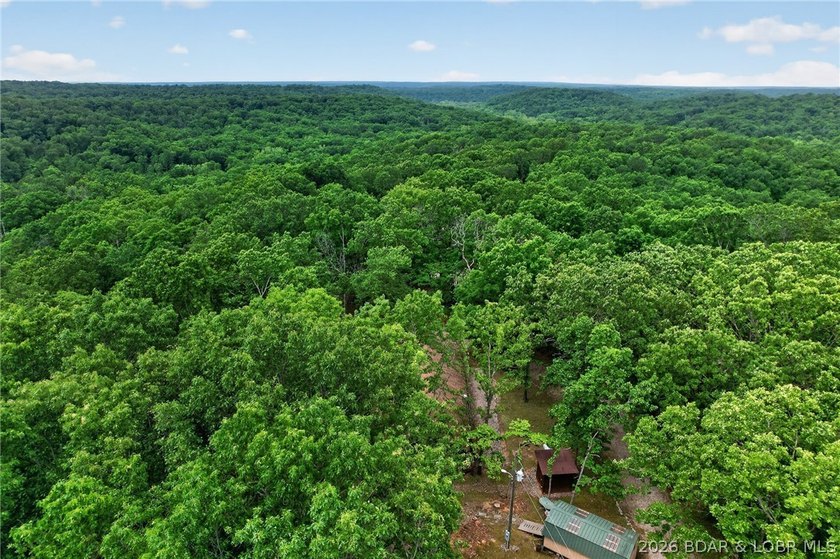GREAT VALUE! Beautiful home on 4.49+ wooded acres with deeded - photo 40