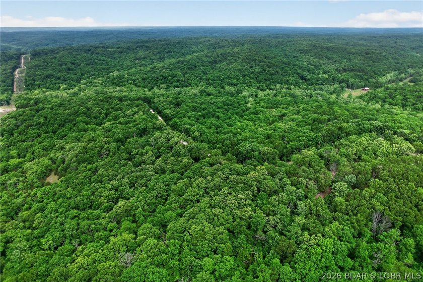 GREAT VALUE! Beautiful home on 4.49+ wooded acres with deeded - photo 44