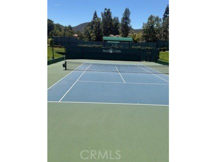 38677 MUIRFIELD DR - photo 12