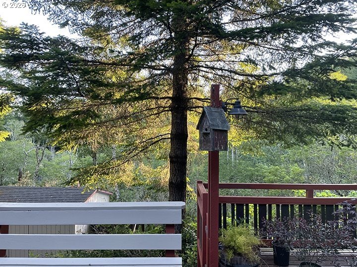 An Enchanted Forest Retreat on 2.88 Acres! Escape to your own - photo 30