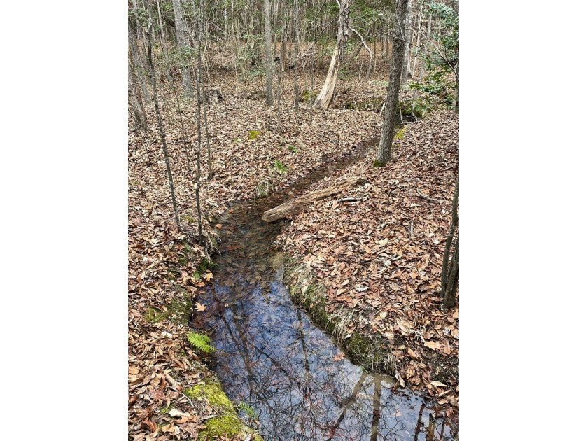 Looking for quiet seclusion near Kerr Lake? This 21 acre wooded - photo 4