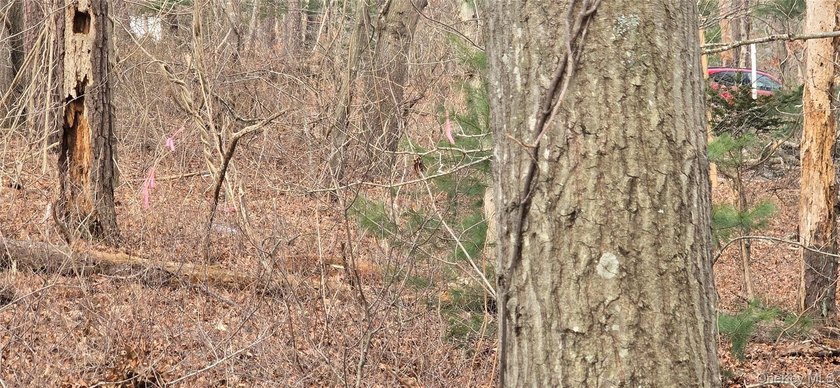 Investor alert! 2 shovel-ready lots in a high-demand - photo 5