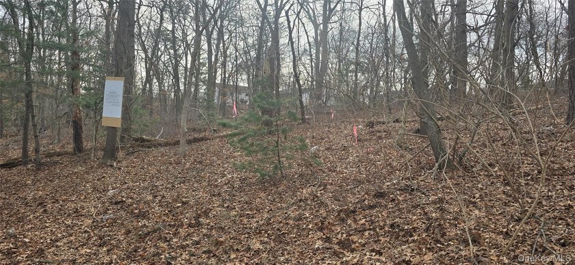 3 prime buildable lots in a growing Mastic/Shirley location! - photo 2