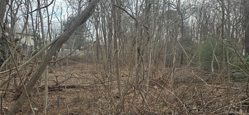 3 prime buildable lots in a growing Mastic/Shirley location! - photo 8