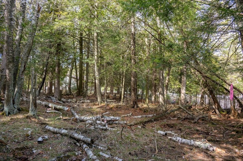 This half acre lot where Glidden Drive begins offers a rare - photo 11