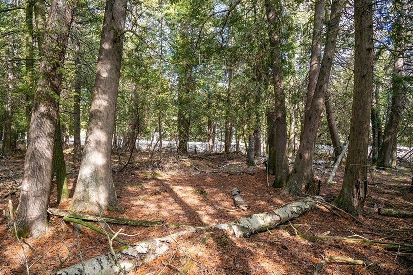 This half acre lot where Glidden Drive begins offers a rare - photo 12