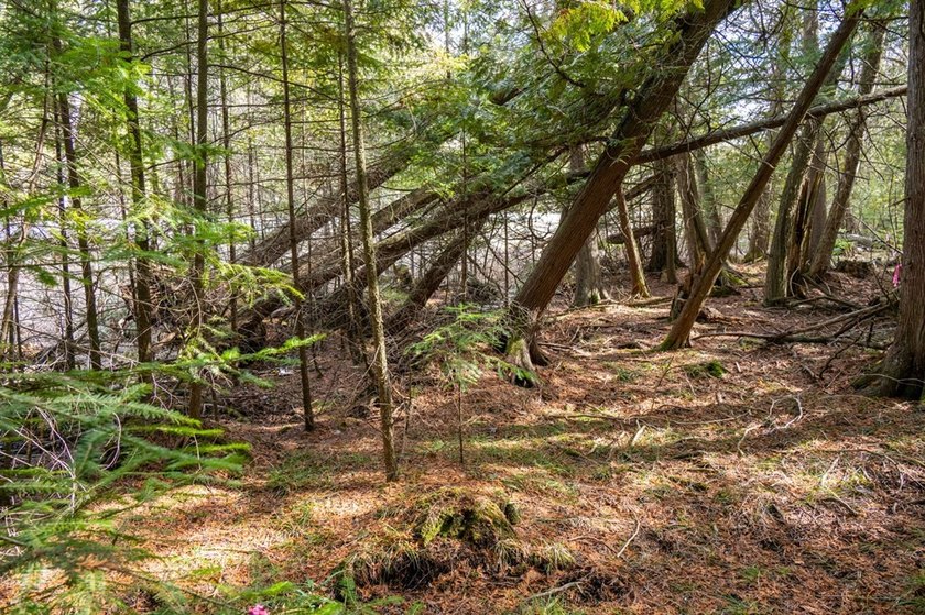 This half acre lot where Glidden Drive begins offers a rare - photo 13