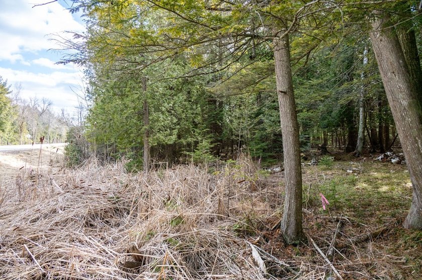 This half acre lot where Glidden Drive begins offers a rare - photo 14