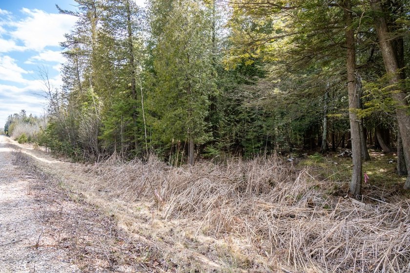 This half acre lot where Glidden Drive begins offers a rare - photo 15