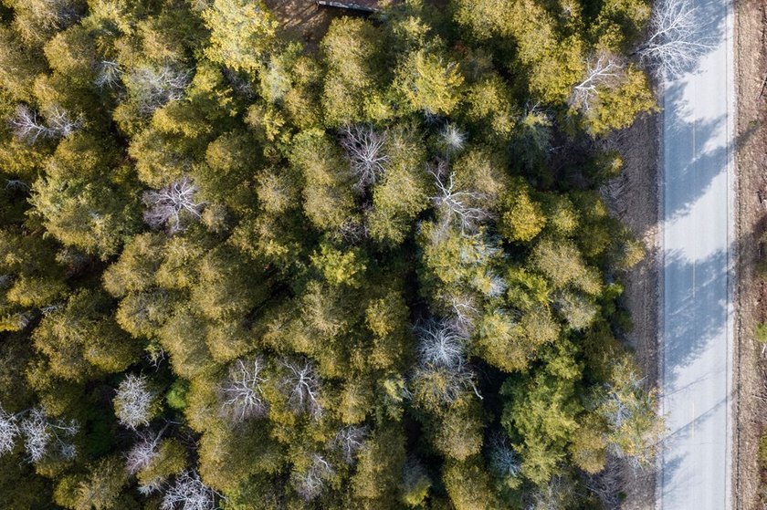 This half acre lot where Glidden Drive begins offers a rare - photo 16