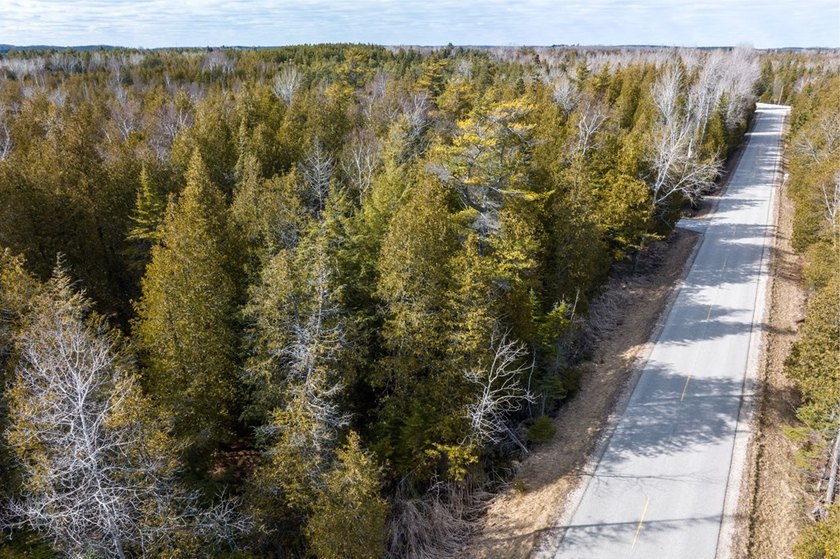 This half acre lot where Glidden Drive begins offers a rare - photo 21