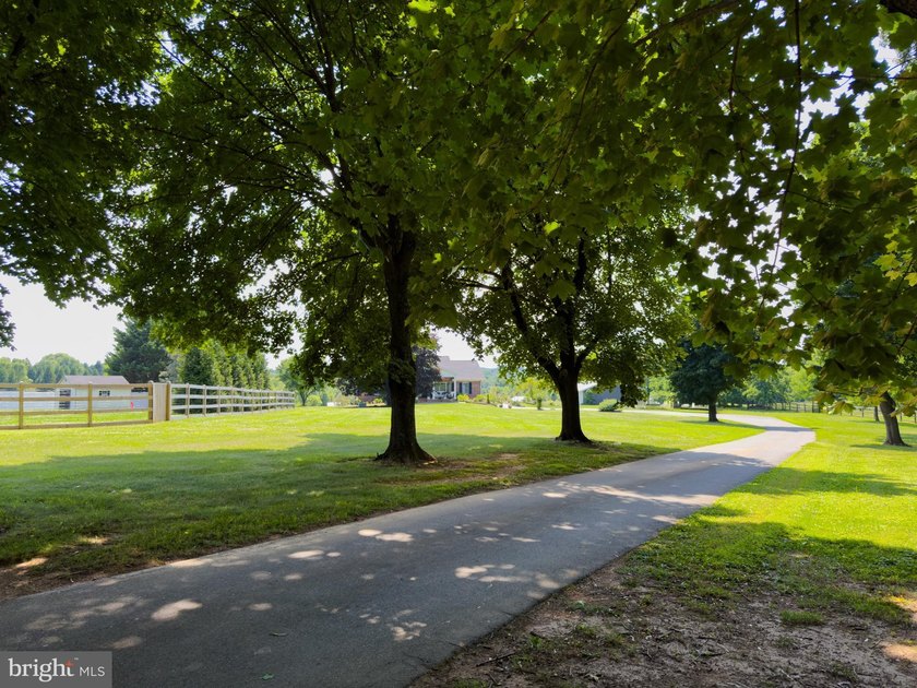 Escape to Your Own Private Sanctuary in Western Howard County! - photo 6