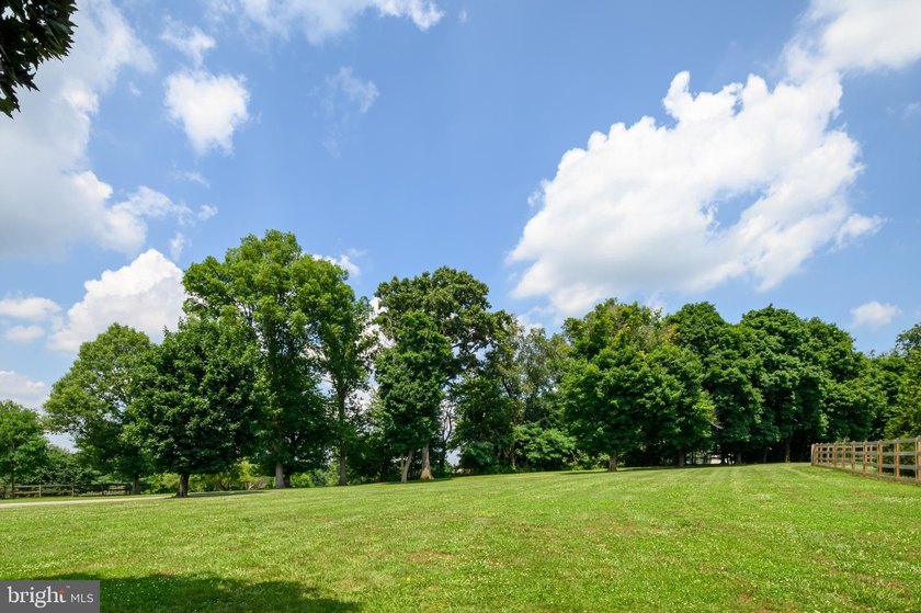 Escape to Your Own Private Sanctuary in Western Howard County! - photo 9