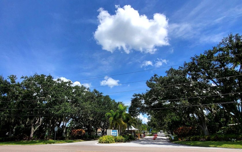 BRAND NEW HVAC SYSTEM 2026! Just listed in Camelot Lakes. Fully - photo 33