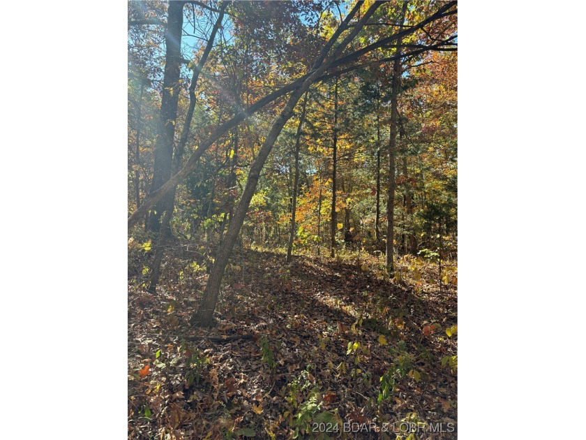 Nice wooded 10 acres, with no known restrictions. Access road is - photo 3