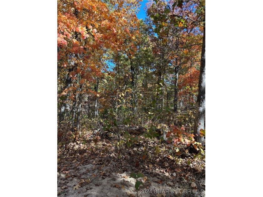 Nice wooded 10 acres, with no known restrictions. Access road is - photo 4