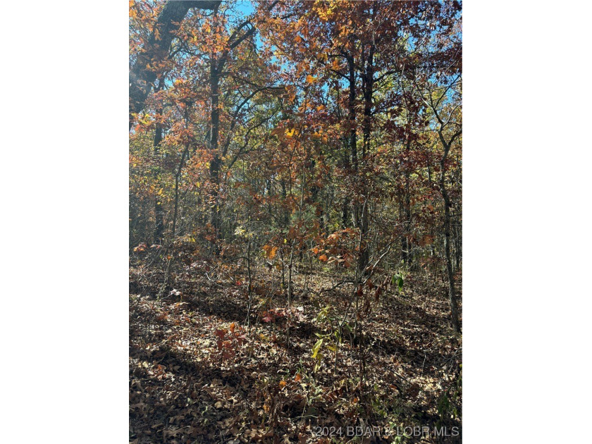 Nice wooded 10 acres, with no known restrictions. Access road is - photo 7