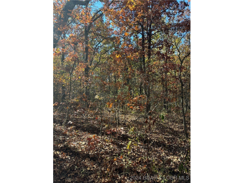 Nice wooded 10 acres, with no known restrictions. Access road is - photo 8