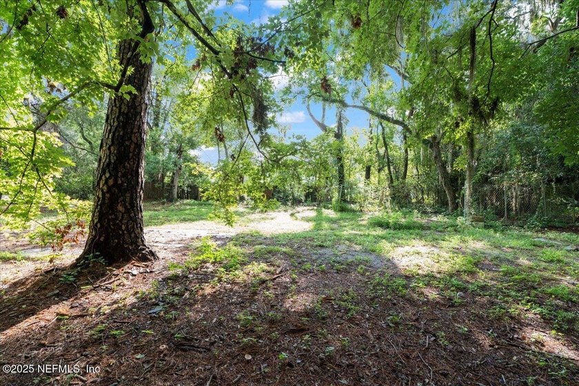 Don't miss out on this amazing opportunity to own 2 prime lots - photo 16