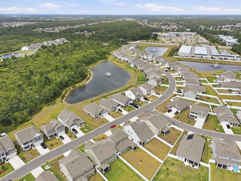 Welcome to your dream home in The Parks at Carolina Forest! This - photo 35