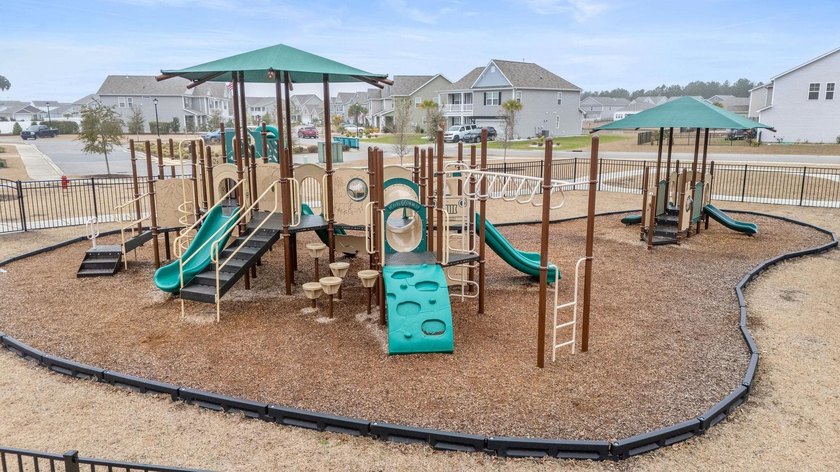 Welcome to your dream home in The Parks at Carolina Forest! This - photo 44