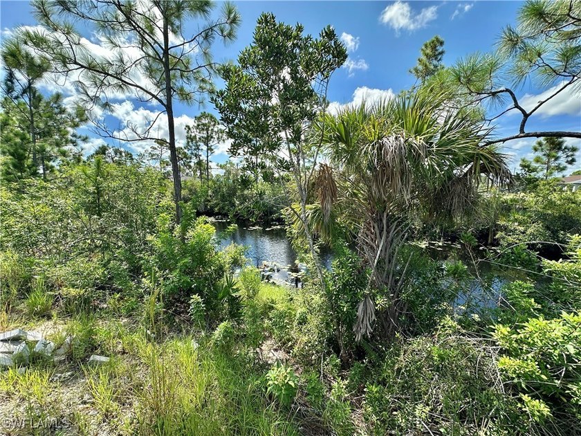 Discover a rare southern-exposure freshwater navigable canal - photo 8