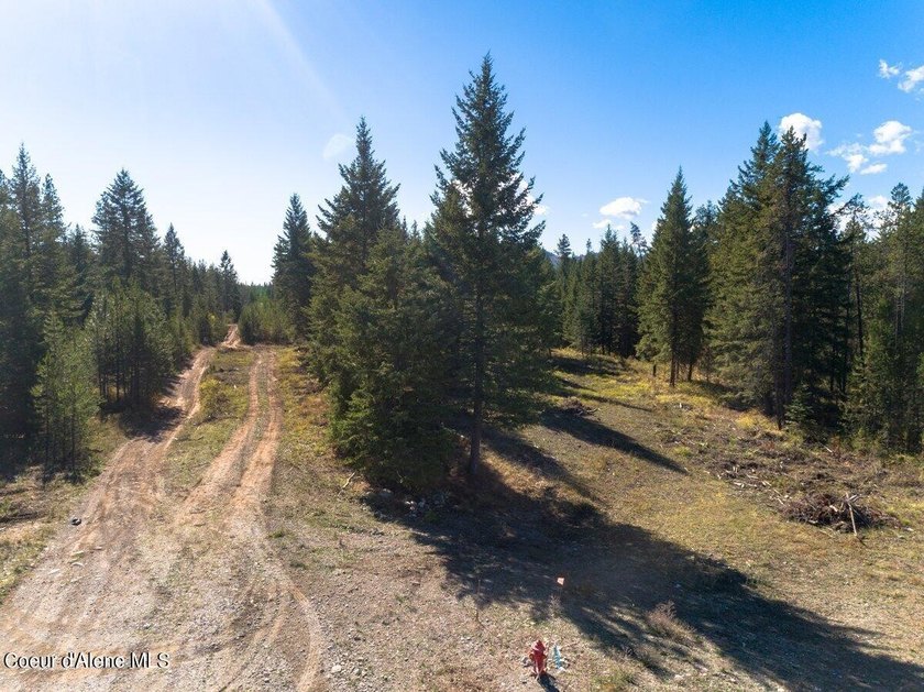 Nice buildable level one-acre for home and shop. In area of nice - photo 13