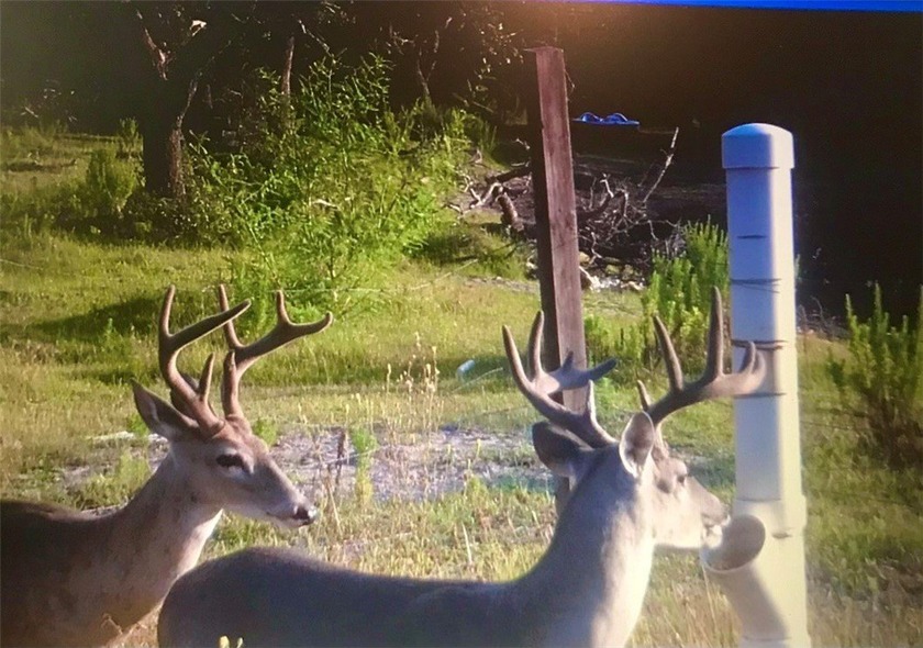 Prime 10.2 Acres of undeveloped blank canvas in Rockport city - photo 11