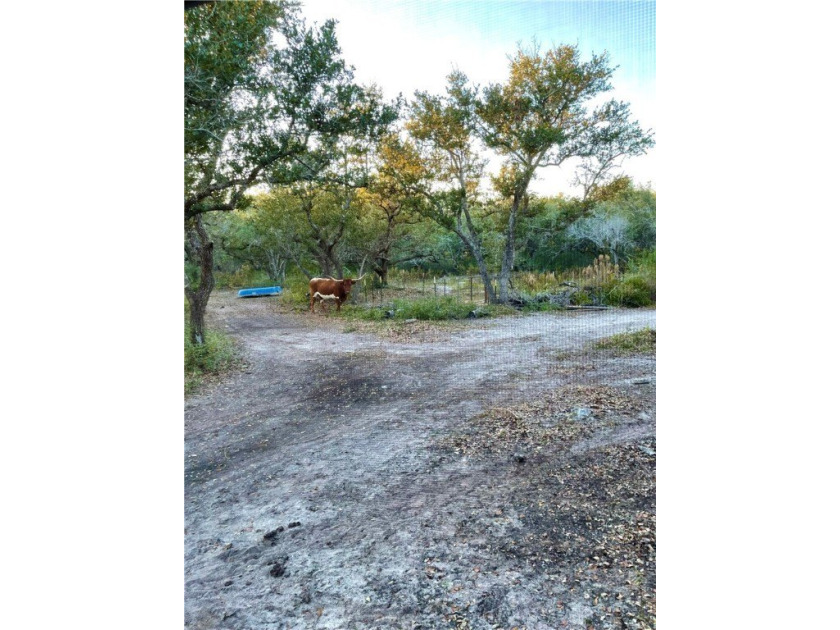 Prime 10.2 Acres of undeveloped blank canvas in Rockport city - photo 12