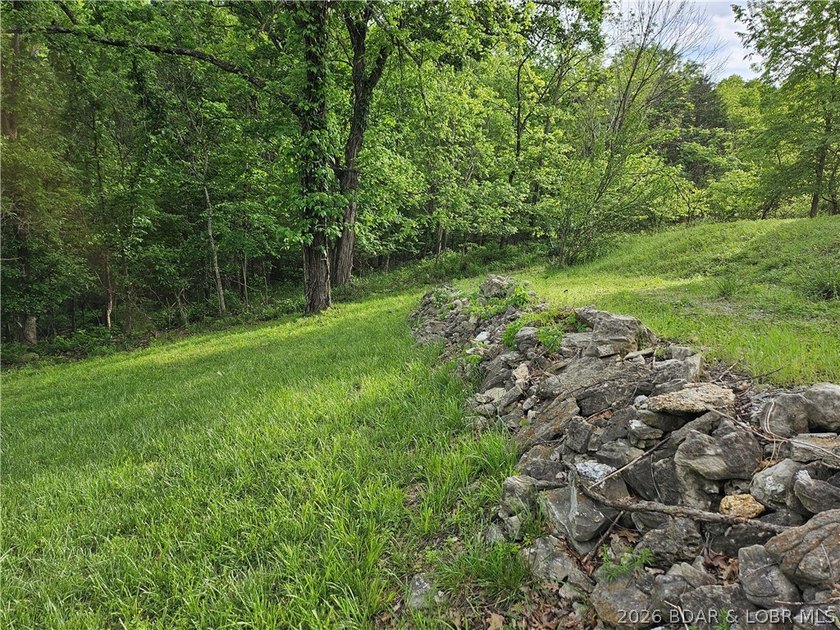 Motivated Seller!!! Turnkey move-in ready property is your start - photo 16