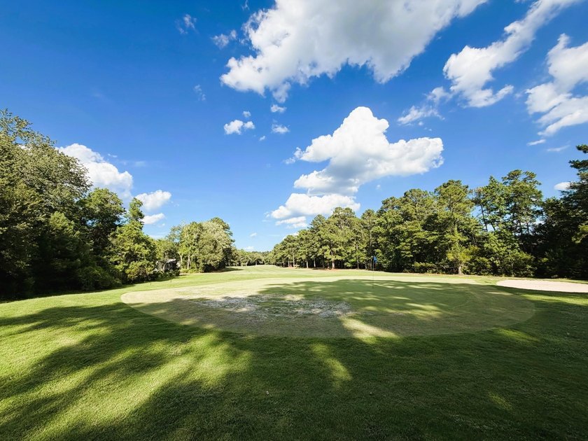 Experience the quintessential Lowcountry lifestyle with this - photo 17