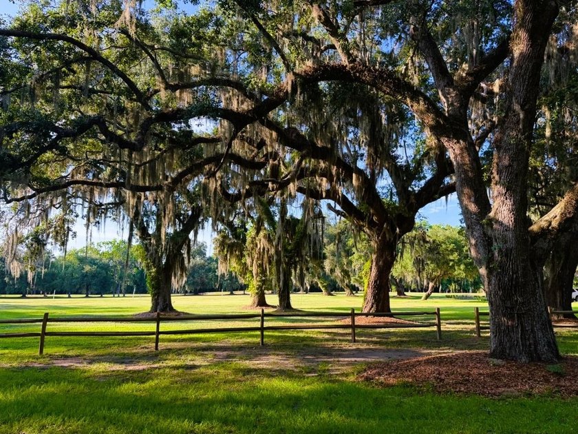 Experience the quintessential Lowcountry lifestyle with this - photo 21