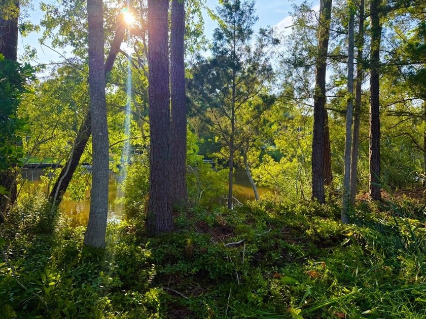 Experience the quintessential Lowcountry lifestyle with this - photo 25