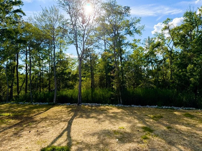 Experience the quintessential Lowcountry lifestyle with this - photo 28