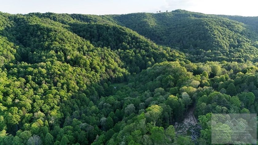 Welcome to Mountain Creek Meadow, offering 23.5 unrestricted - photo 13