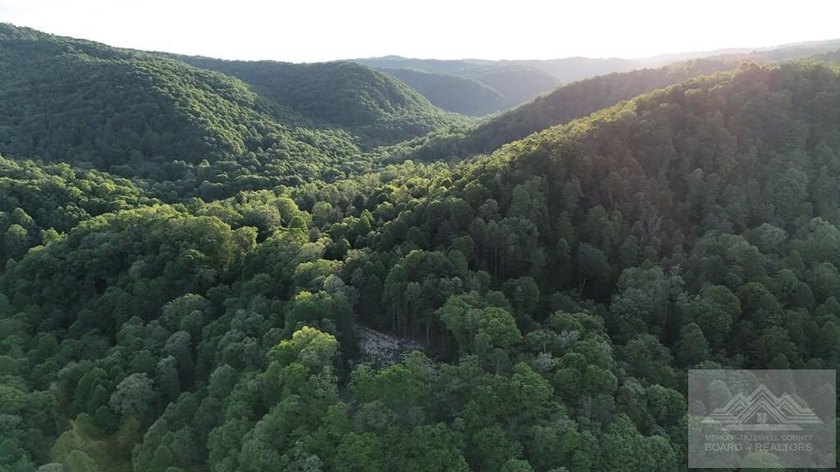 Welcome to Mountain Creek Meadow, offering 23.5 unrestricted - photo 14