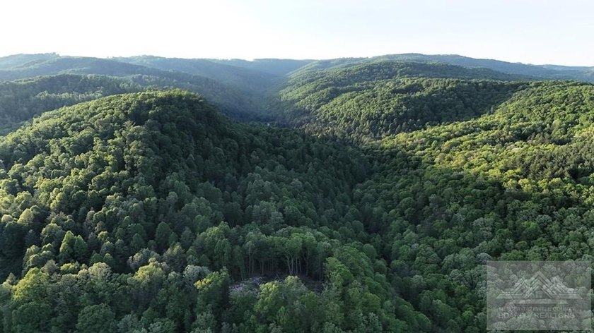 Welcome to Mountain Creek Meadow, offering 23.5 unrestricted - photo 15