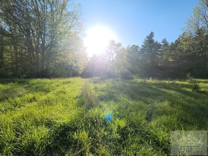 Welcome to Mountain Creek Meadow, offering 23.5 unrestricted - photo 17