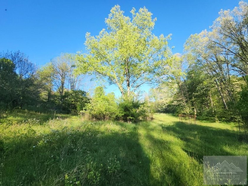 Welcome to Mountain Creek Meadow, offering 23.5 unrestricted - photo 18