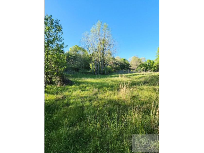 Welcome to Mountain Creek Meadow, offering 23.5 unrestricted - photo 19