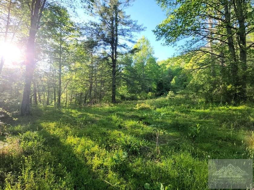 Welcome to Mountain Creek Meadow, offering 23.5 unrestricted - photo 20
