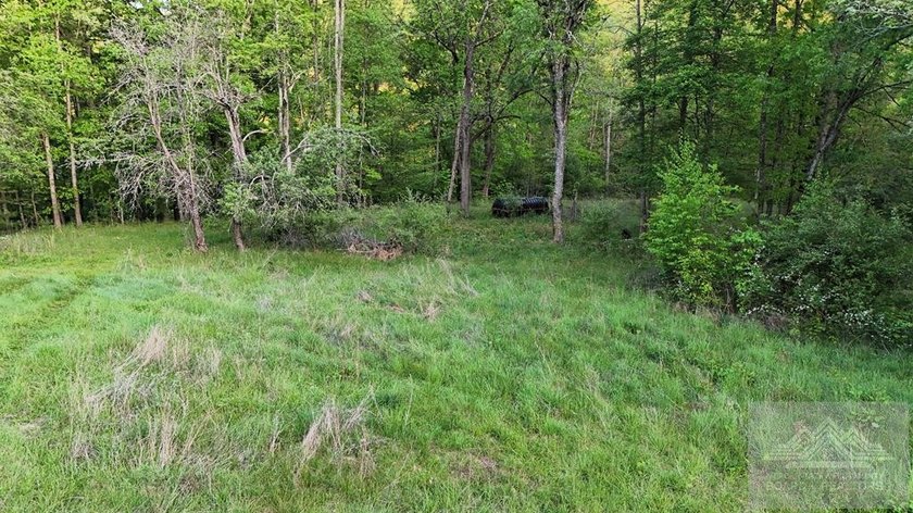 Welcome to Mountain Creek Meadow, offering 23.5 unrestricted - photo 21