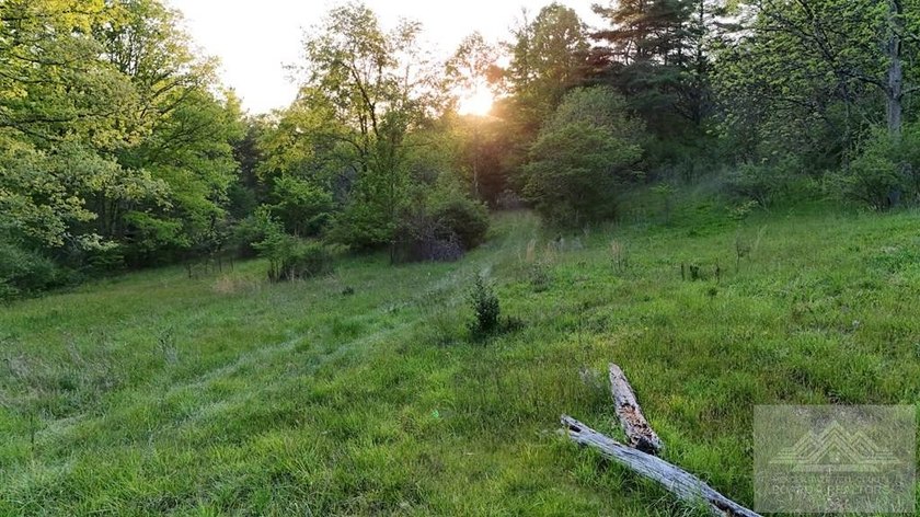 Welcome to Mountain Creek Meadow, offering 23.5 unrestricted - photo 22