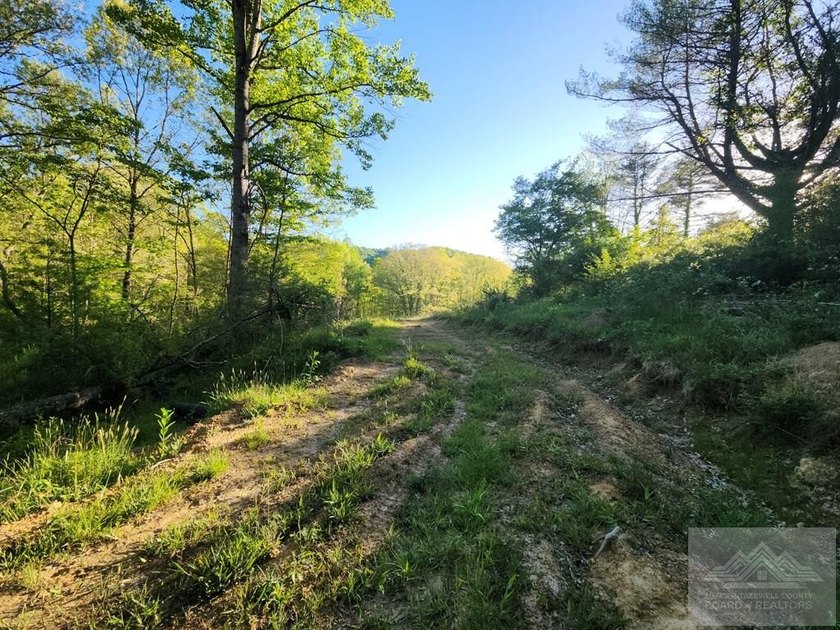 Welcome to Mountain Creek Meadow, offering 23.5 unrestricted - photo 23