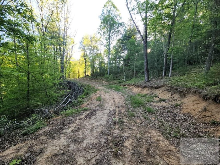 Welcome to Mountain Creek Meadow, offering 23.5 unrestricted - photo 24