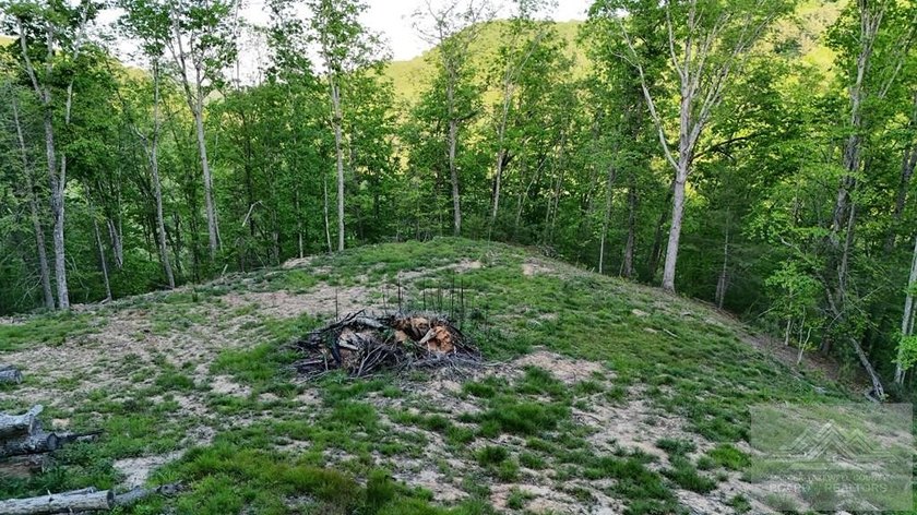 Welcome to Mountain Creek Meadow, offering 23.5 unrestricted - photo 28