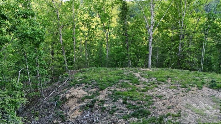 Welcome to Mountain Creek Meadow, offering 23.5 unrestricted - photo 29