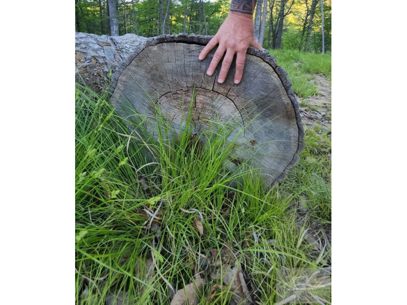 Welcome to Mountain Creek Meadow, offering 23.5 unrestricted - photo 31