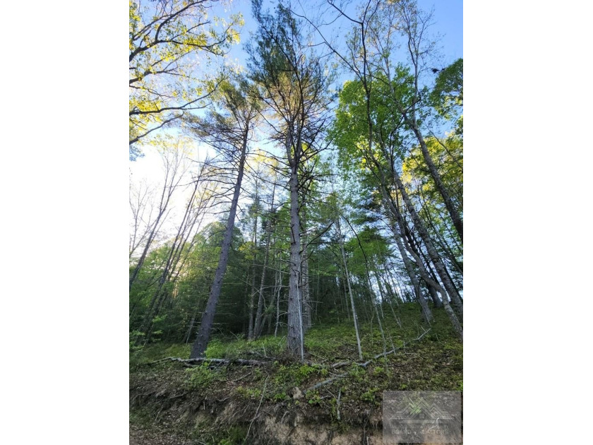 Welcome to Mountain Creek Meadow, offering 23.5 unrestricted - photo 32